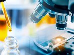 GMP-Labor für pharmazeutische Analytik