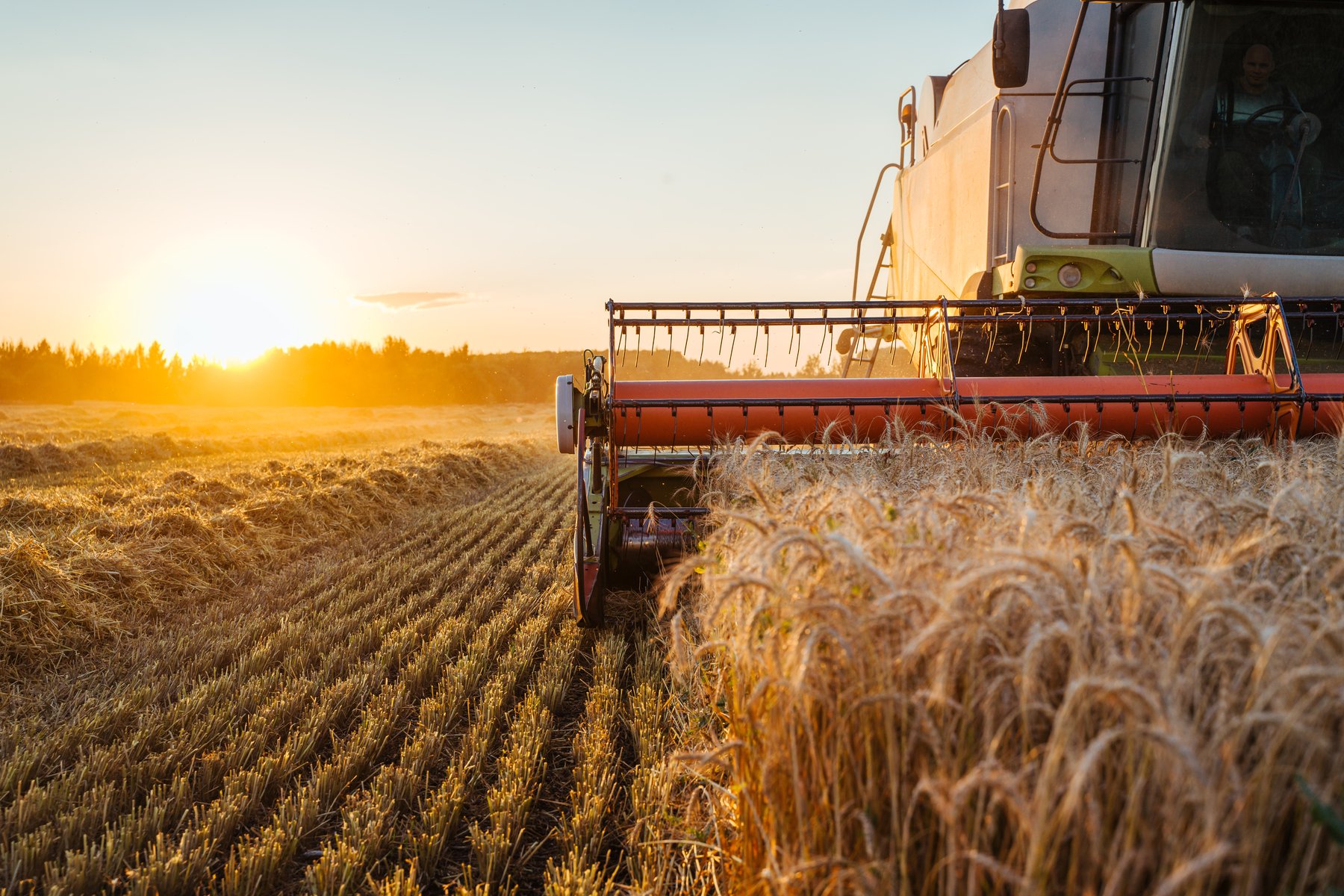 Landwirtschaftliches Lohnunternehmen samt Handel, Lagerung und Umschlag