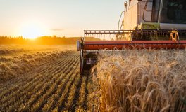 Landwirtschaftliches Lohnunternehmen samt Handel, Lagerung und Umschlag