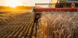 Landwirtschaftliches Lohnunternehmen samt Handel, Lagerung und Umschlag