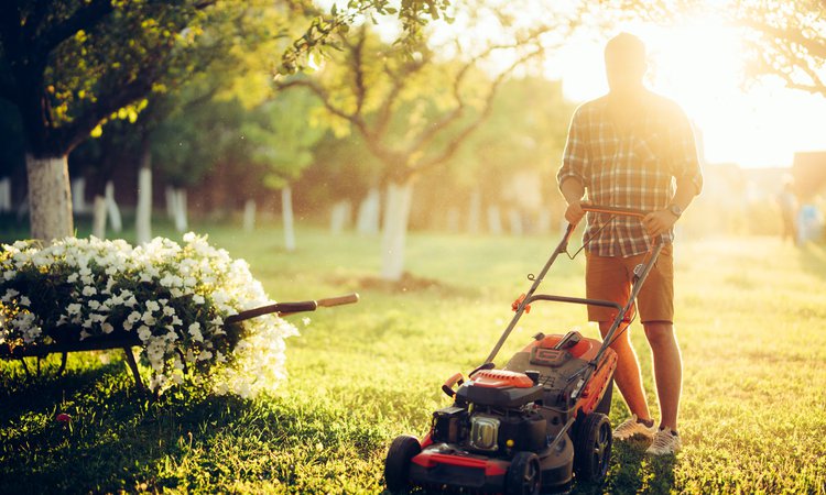 Einzelhandel mit Onlinepräsentation für Garten Motorgeräte und Zubehör