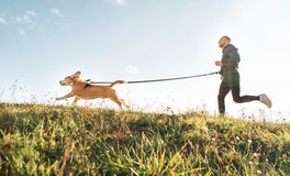 Fachgeschäft für Laufsportbedarf mit stationärem Handel, zwei Online-Shops und Canicross-Spezialisierung