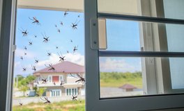Mittelständischer Fachbetrieb im Bereich Insektenschutzlösungen mit eigener Produktion