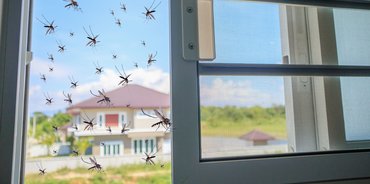 Mittelständischer Fachbetrieb im Bereich Insektenschutzlösungen mit eigener Produktion